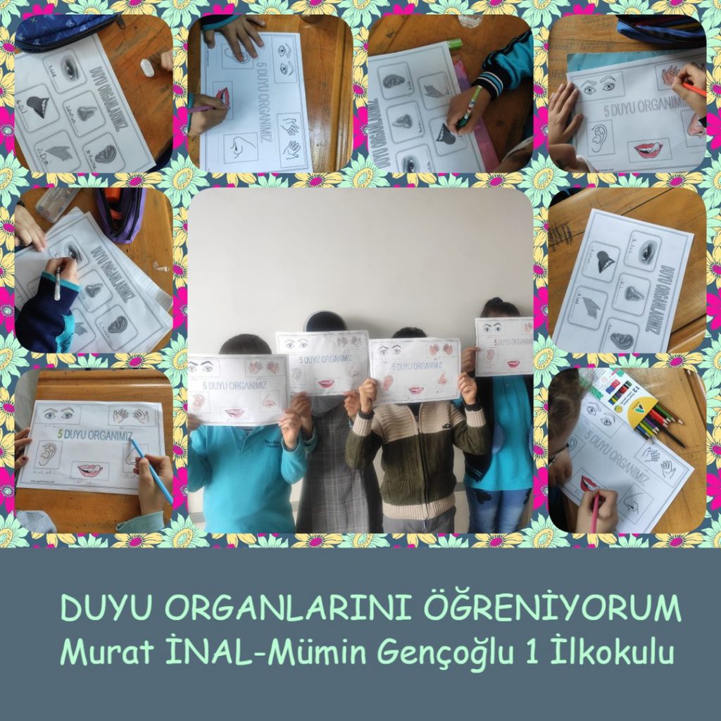 DUYU ORGANLARINI ÖĞRENİYORUM by filiz aksu - Illustrated by Filiz AKSU YAŞIN - Ourboox.com