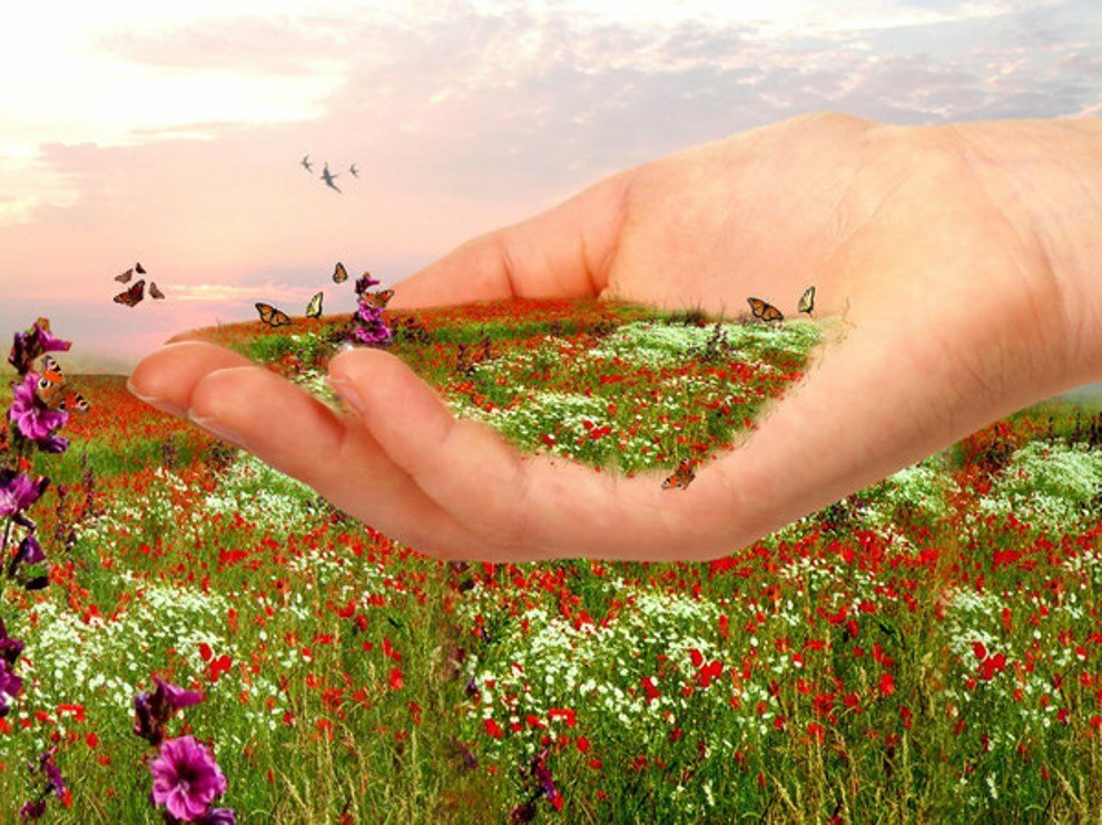 Когнитивный диссонанс by Daria Muzheva - Ourboox.com