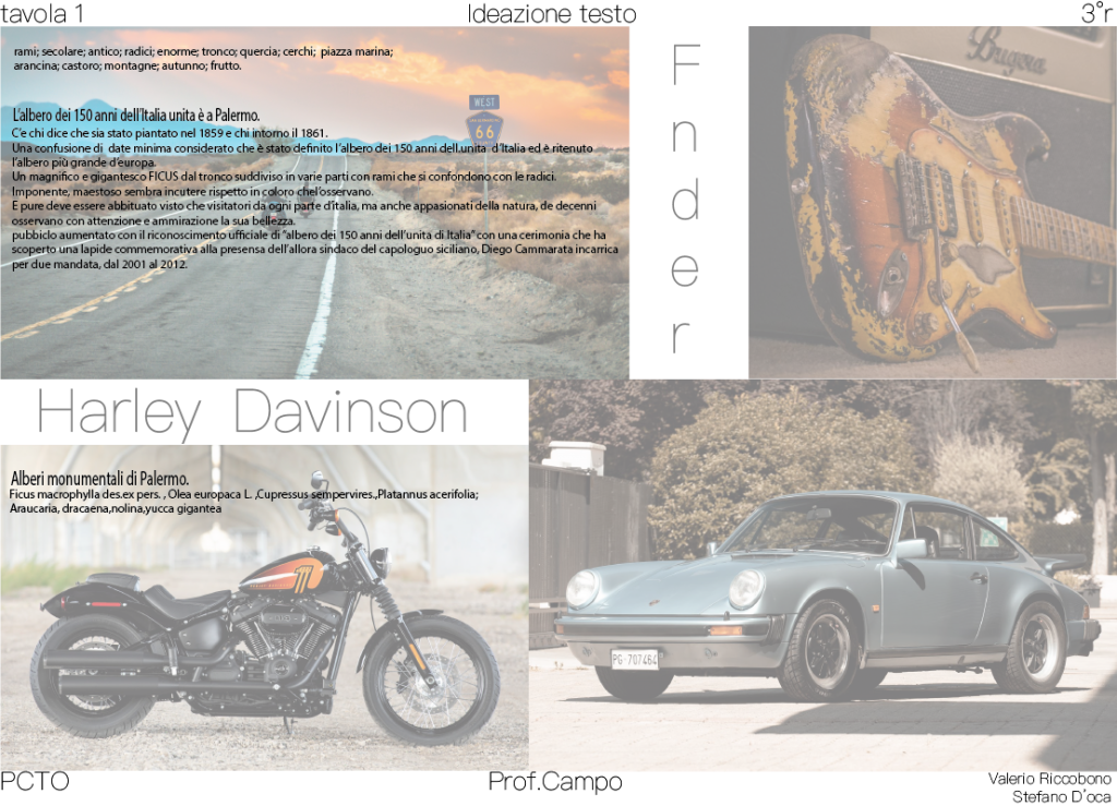 progetto grafico alberi monumentali by Valerio Riccobono - Ourboox.com