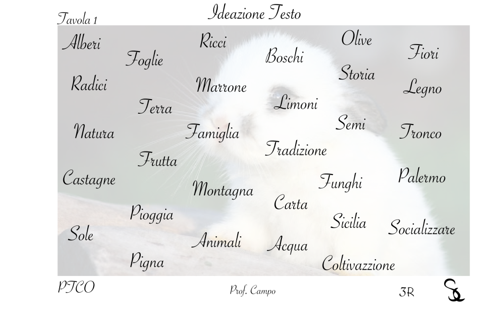 Progetto grafico logo alberi monumentali di Sicilia by Sefora Cartabellotta - Ourboox.com