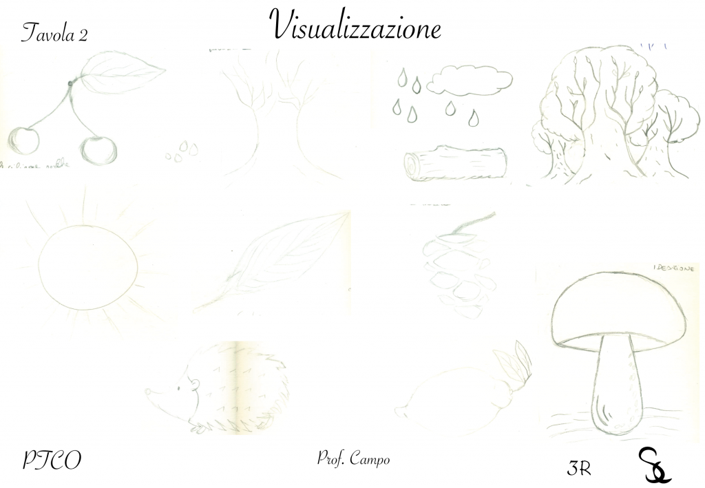 progetto grafico logo alberi monumentali by Sefora Cartabellotta - Ourboox.com