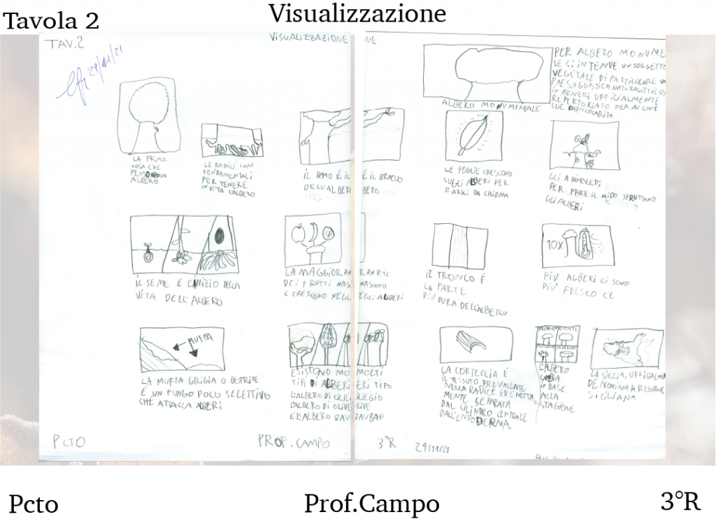 progetto grafico alberi monumentali di Sicilia by Antonino.busalacchi - Ourboox.com