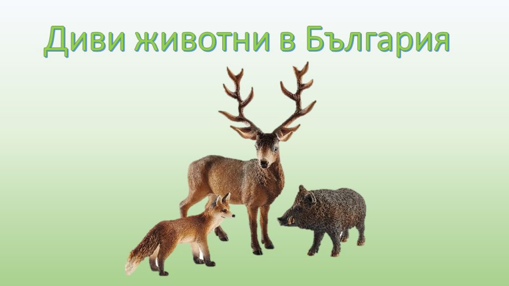 Диви животни в България by Дилова  - Ourboox.com