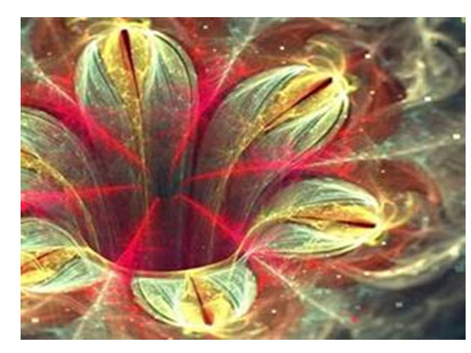 Засоби і види комп’ютерної графіки by Kirkeyan Natali - Ourboox.com