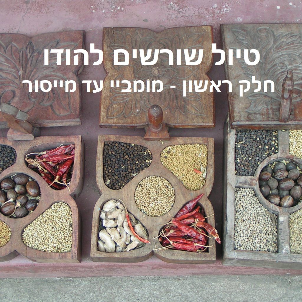 טיול שורשים להודו – חלק ראשון מומביי עד מייסור by מיכל בן הגיא - Illustrated by אבנר אייזיק - Ourboox.com