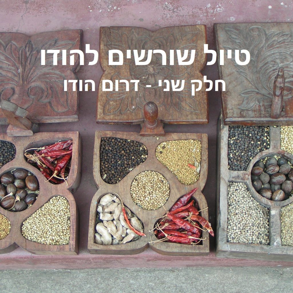 טיול שורשים להודו – חלק שני דרום הודו by מיכל בן הגיא - Illustrated by אבנר אייזיק - Ourboox.com