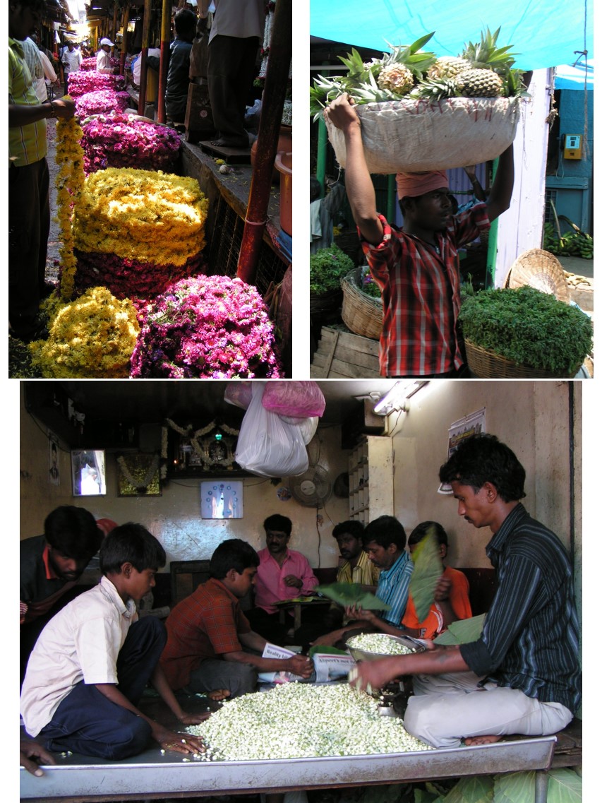טיול שורשים להודו – חלק ראשון מומביי עד מייסור by מיכל בן הגיא - Illustrated by אבנר אייזיק - Ourboox.com
