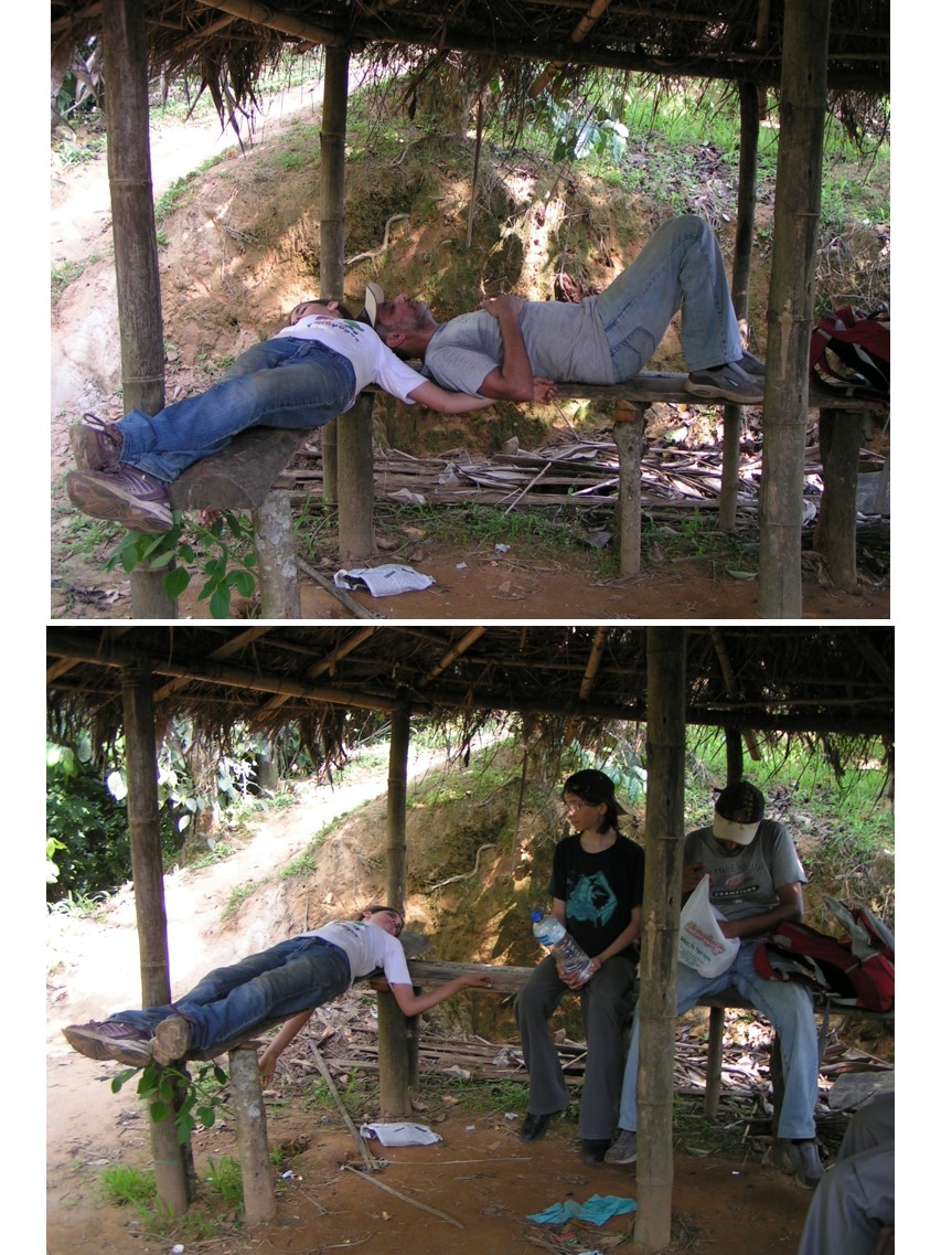 טיול שורשים להודו – חלק שני דרום הודו by מיכל בן הגיא - Illustrated by אבנר אייזיק - Ourboox.com