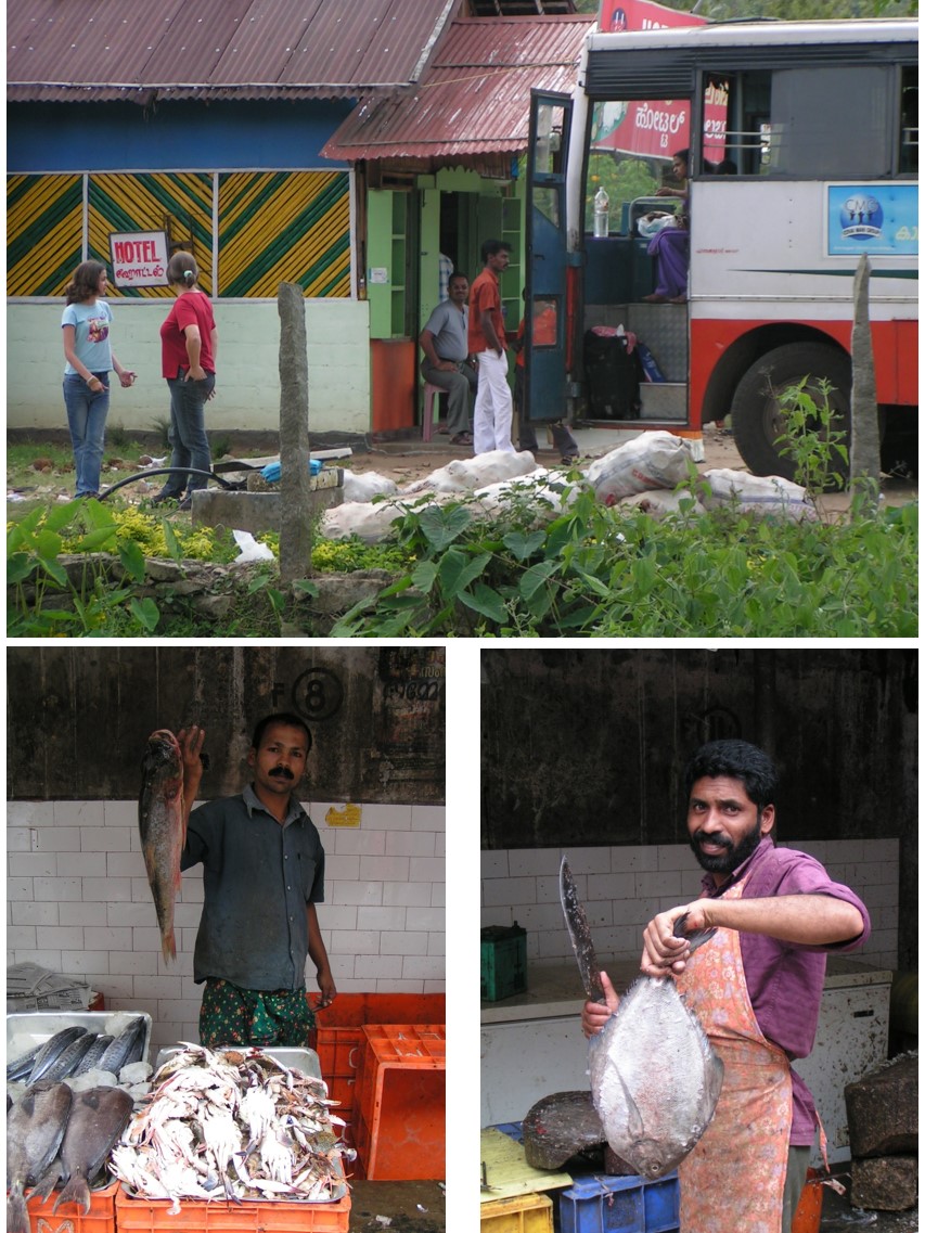 טיול שורשים להודו – חלק שני דרום הודו by מיכל בן הגיא - Illustrated by אבנר אייזיק - Ourboox.com
