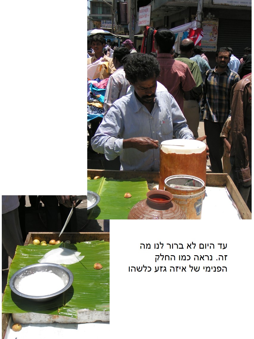 טיול שורשים להודו – חלק ראשון מומביי עד מייסור by מיכל בן הגיא - Illustrated by אבנר אייזיק - Ourboox.com