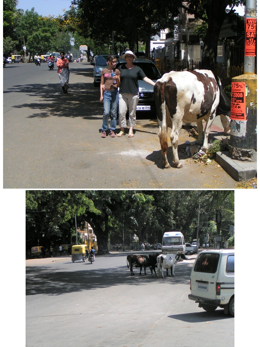 טיול שורשים להודו – חלק ראשון מומביי עד מייסור by מיכל בן הגיא - Illustrated by אבנר אייזיק - Ourboox.com