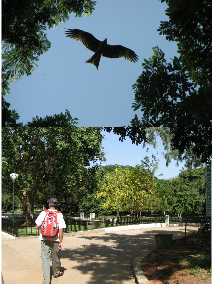 טיול שורשים להודו – חלק ראשון מומביי עד מייסור by מיכל בן הגיא - Illustrated by אבנר אייזיק - Ourboox.com