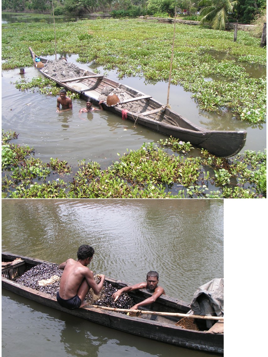 טיול שורשים להודו – חלק שני דרום הודו by מיכל בן הגיא - Illustrated by אבנר אייזיק - Ourboox.com