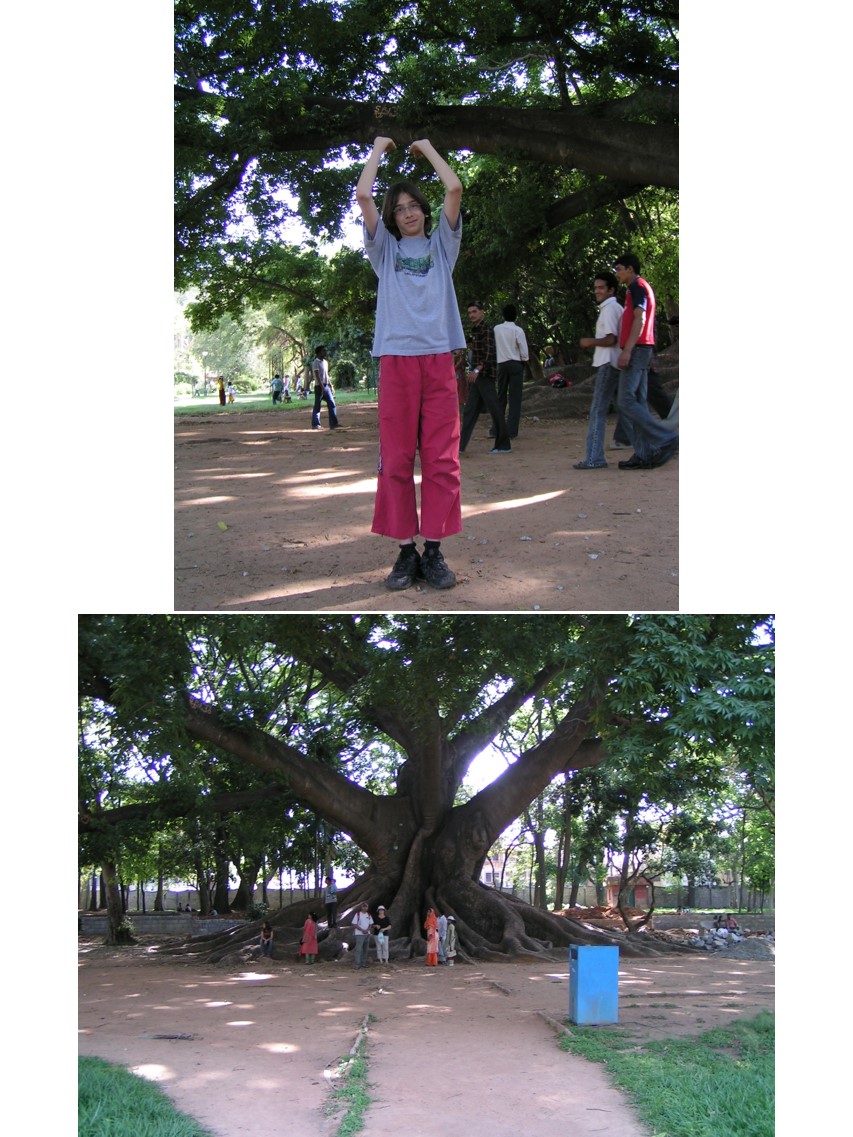 טיול שורשים להודו – חלק ראשון מומביי עד מייסור by מיכל בן הגיא - Illustrated by אבנר אייזיק - Ourboox.com