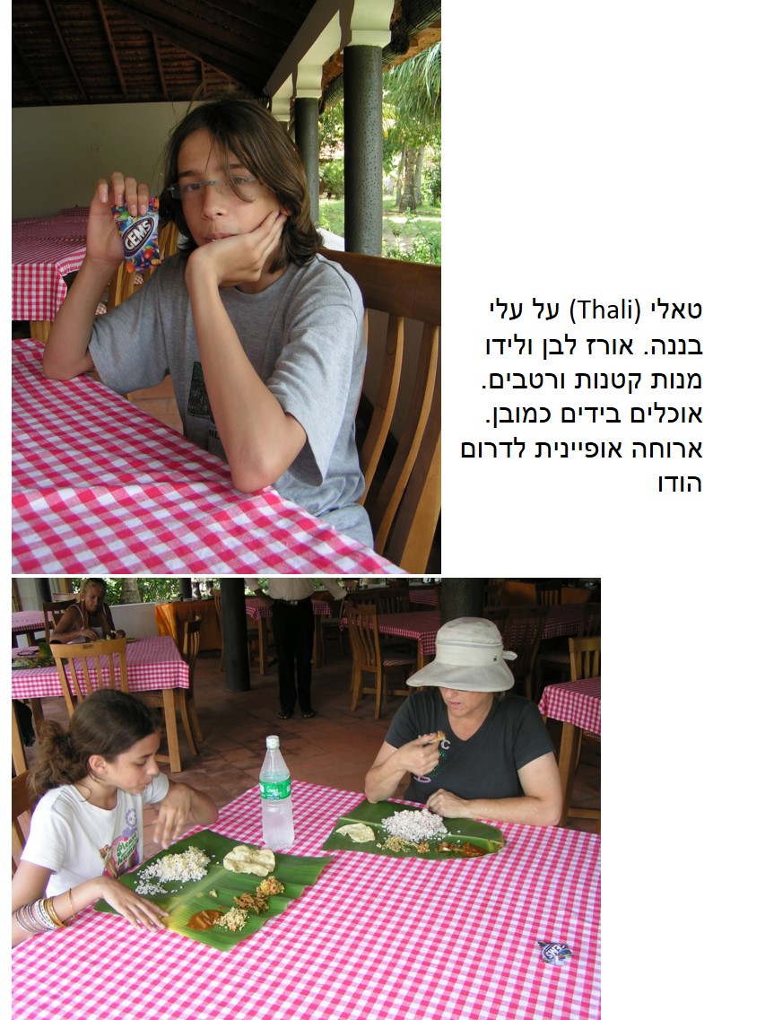 טיול שורשים להודו – חלק שני דרום הודו by מיכל בן הגיא - Illustrated by אבנר אייזיק - Ourboox.com