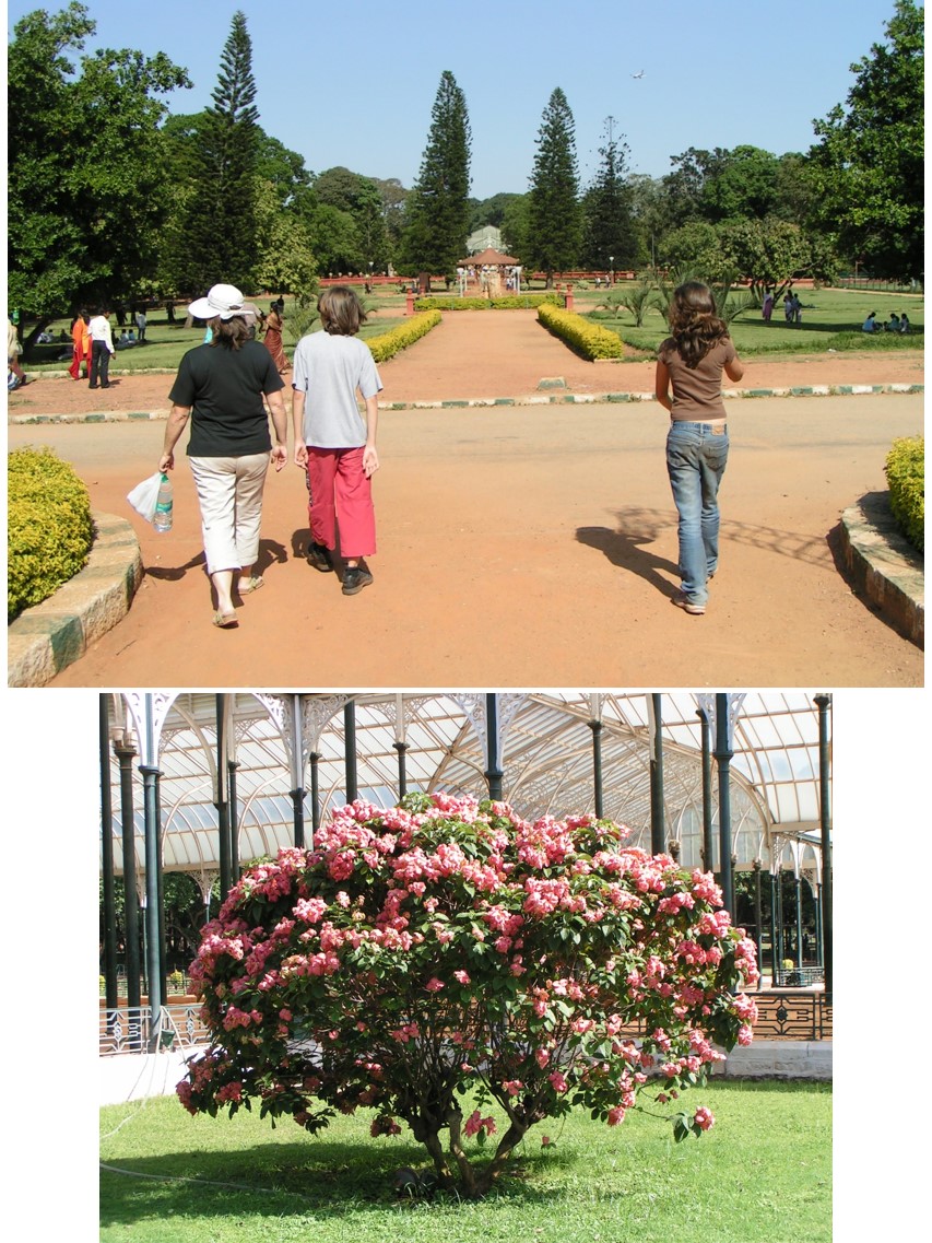 טיול שורשים להודו – חלק ראשון מומביי עד מייסור by מיכל בן הגיא - Illustrated by אבנר אייזיק - Ourboox.com