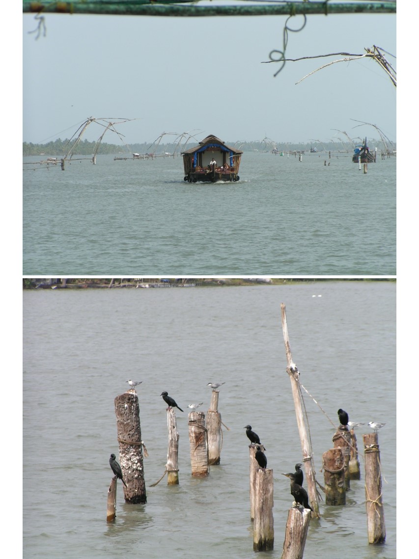 טיול שורשים להודו – חלק שני דרום הודו by מיכל בן הגיא - Illustrated by אבנר אייזיק - Ourboox.com