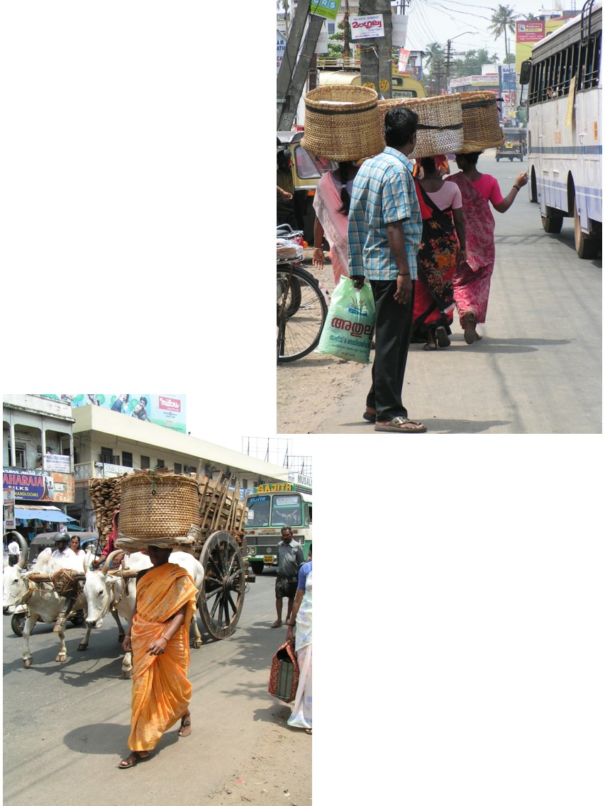 טיול שורשים להודו – חלק שני דרום הודו by מיכל בן הגיא - Illustrated by אבנר אייזיק - Ourboox.com