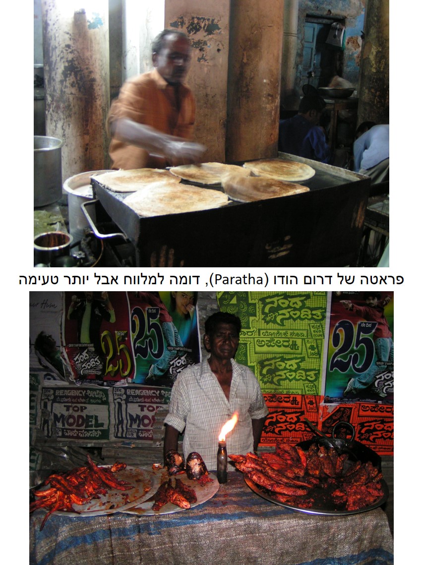 טיול שורשים להודו – חלק ראשון מומביי עד מייסור by מיכל בן הגיא - Illustrated by אבנר אייזיק - Ourboox.com