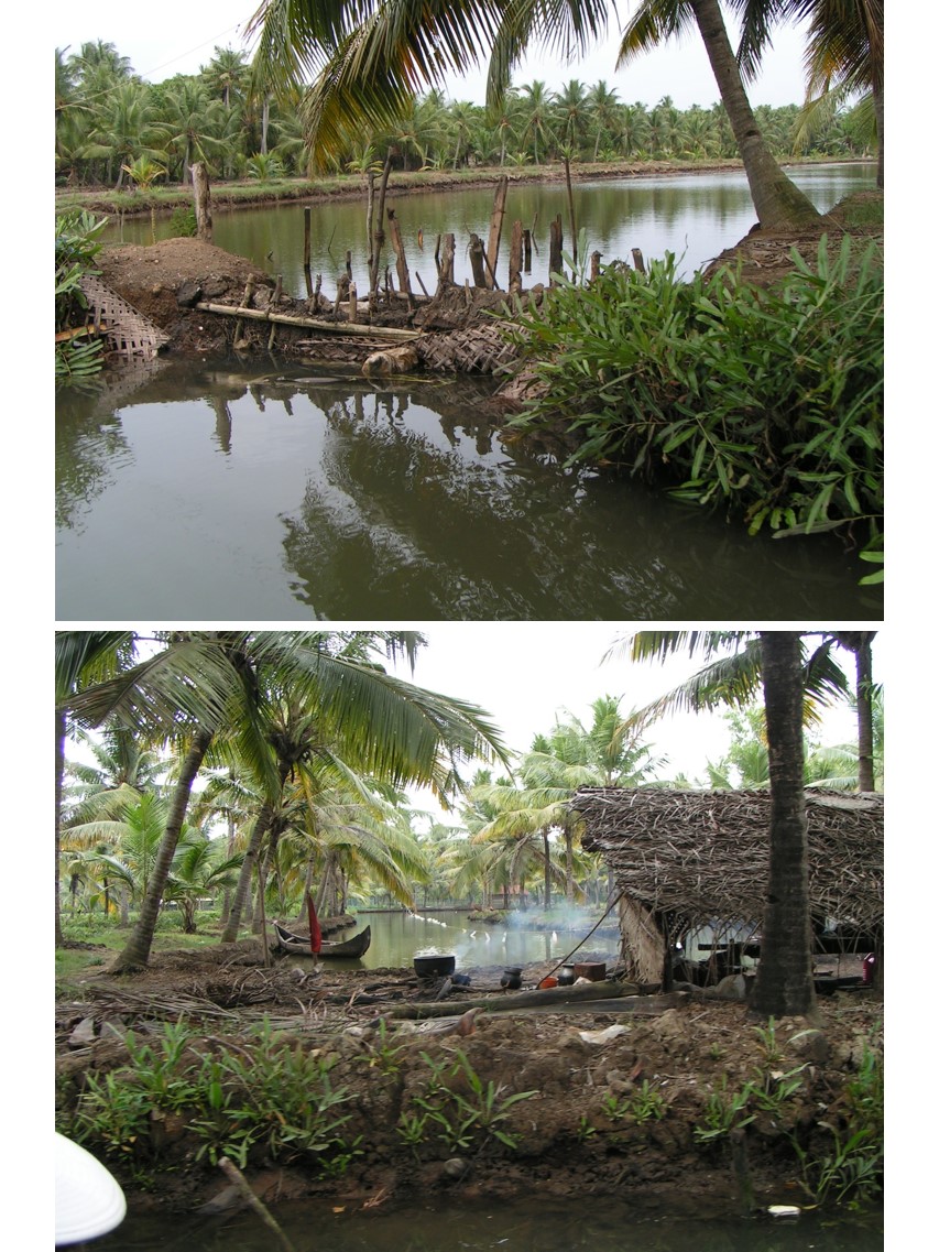 טיול שורשים להודו – חלק שני דרום הודו by מיכל בן הגיא - Illustrated by אבנר אייזיק - Ourboox.com