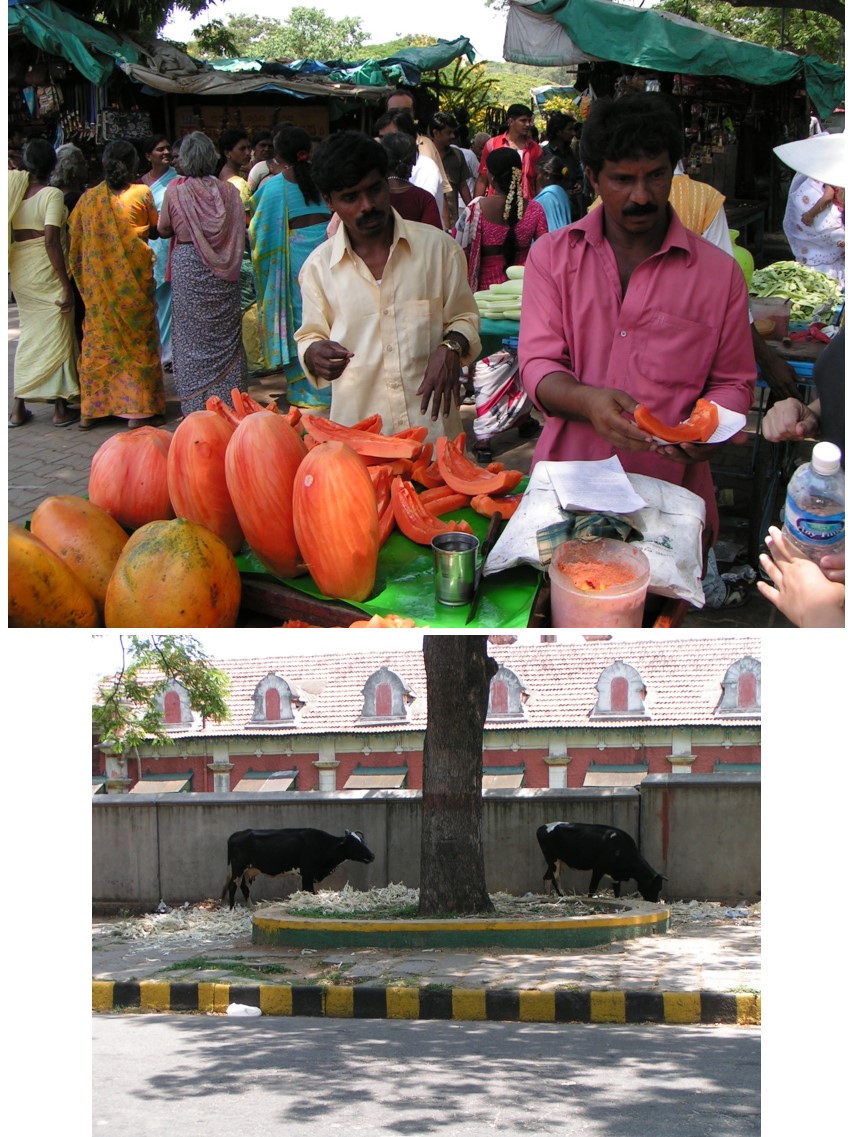 טיול שורשים להודו – חלק ראשון מומביי עד מייסור by מיכל בן הגיא - Illustrated by אבנר אייזיק - Ourboox.com