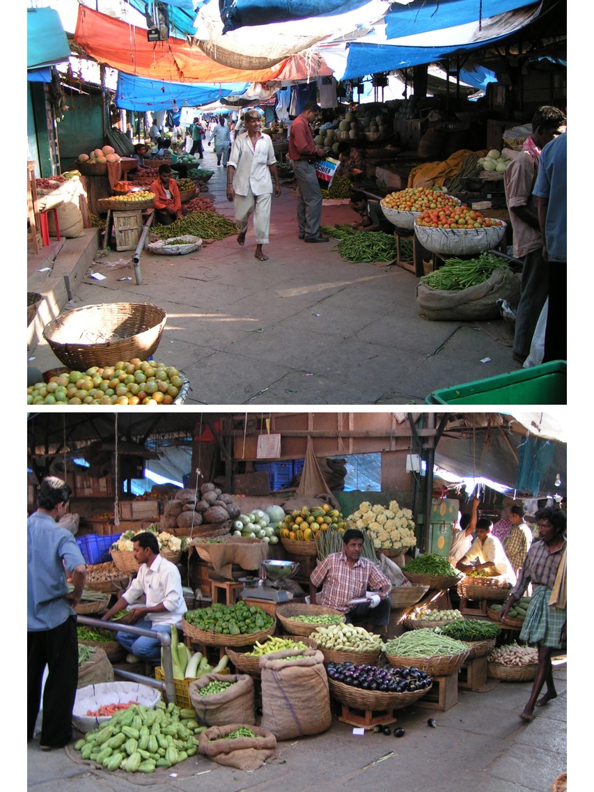 טיול שורשים להודו – חלק ראשון מומביי עד מייסור by מיכל בן הגיא - Illustrated by אבנר אייזיק - Ourboox.com