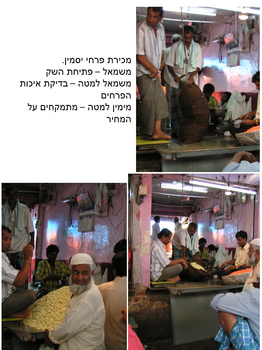 טיול שורשים להודו – חלק ראשון מומביי עד מייסור by מיכל בן הגיא - Illustrated by אבנר אייזיק - Ourboox.com