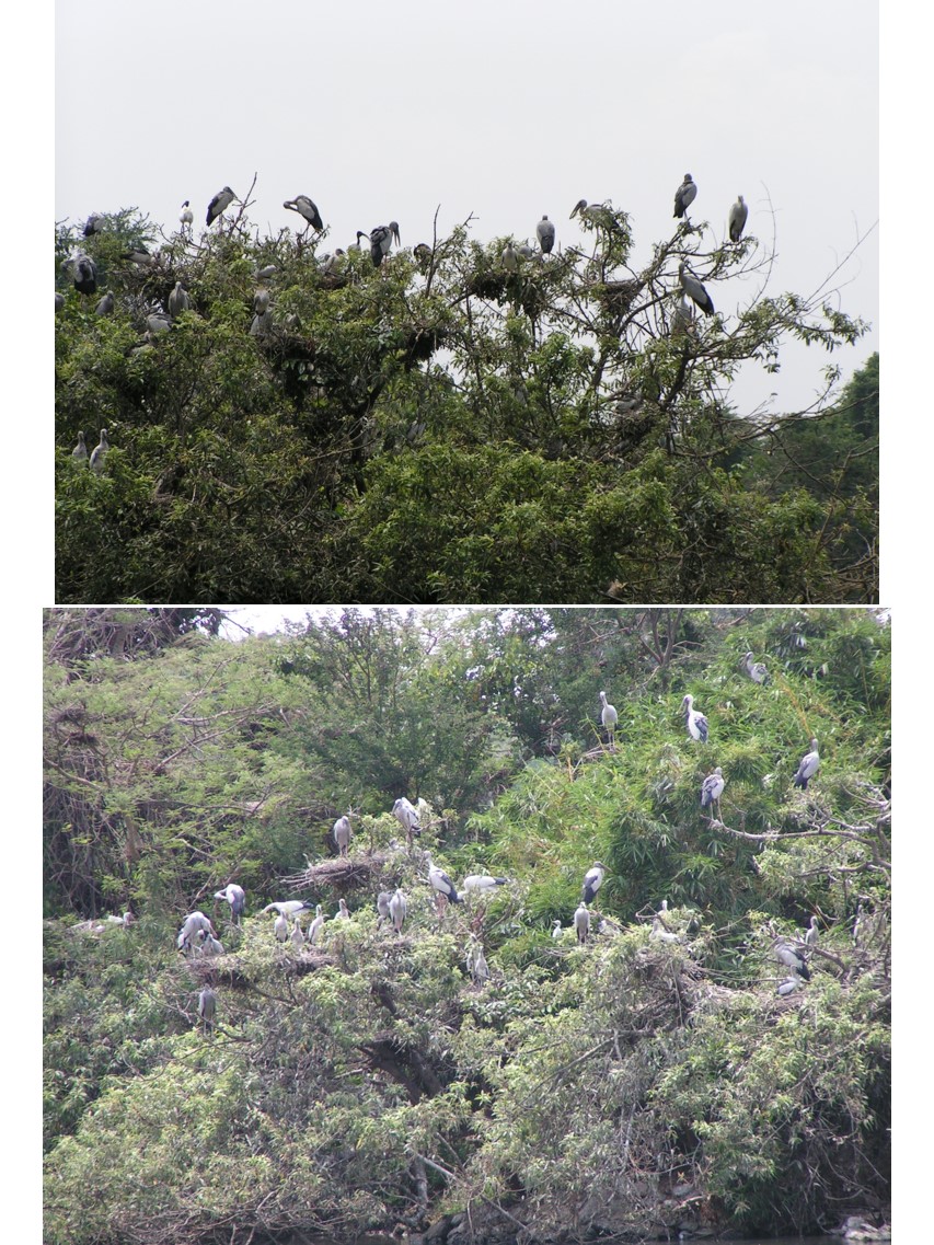 טיול שורשים להודו – חלק ראשון מומביי עד מייסור by מיכל בן הגיא - Illustrated by אבנר אייזיק - Ourboox.com