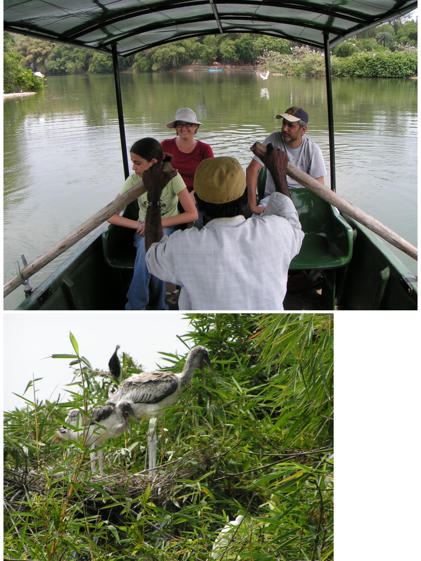 טיול שורשים להודו – חלק ראשון מומביי עד מייסור by מיכל בן הגיא - Illustrated by אבנר אייזיק - Ourboox.com