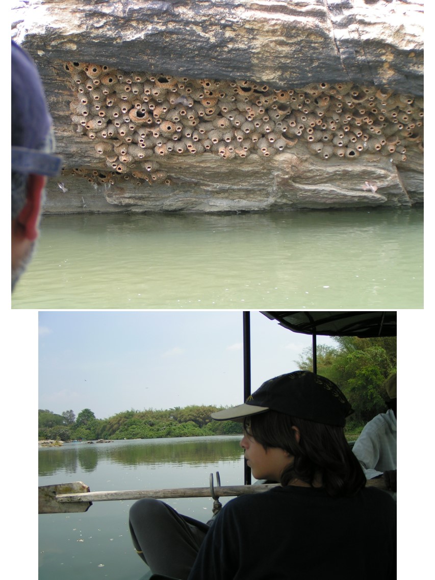 טיול שורשים להודו – חלק ראשון מומביי עד מייסור by מיכל בן הגיא - Illustrated by אבנר אייזיק - Ourboox.com