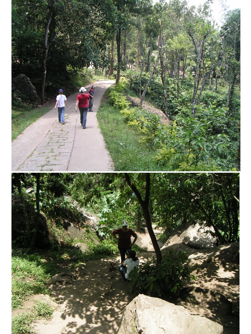 טיול שורשים להודו – חלק שני דרום הודו by מיכל בן הגיא - Illustrated by אבנר אייזיק - Ourboox.com