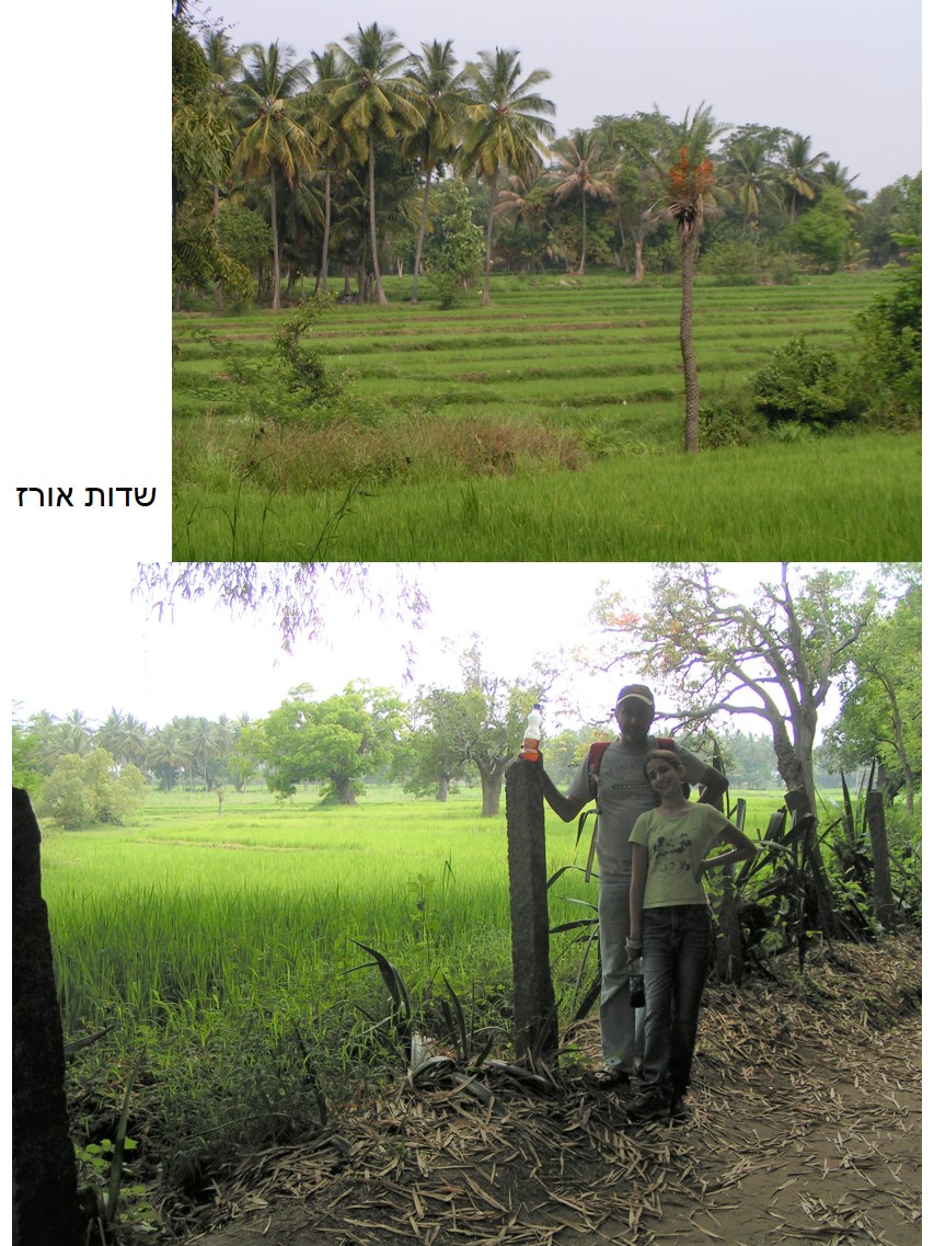 טיול שורשים להודו – חלק ראשון מומביי עד מייסור by מיכל בן הגיא - Illustrated by אבנר אייזיק - Ourboox.com