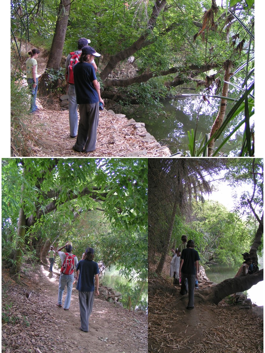 טיול שורשים להודו – חלק ראשון מומביי עד מייסור by מיכל בן הגיא - Illustrated by אבנר אייזיק - Ourboox.com