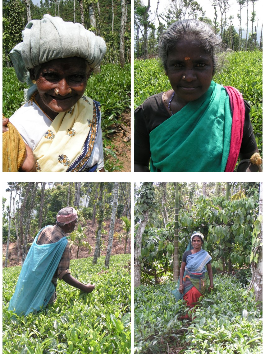 טיול שורשים להודו – חלק שני דרום הודו by מיכל בן הגיא - Illustrated by אבנר אייזיק - Ourboox.com