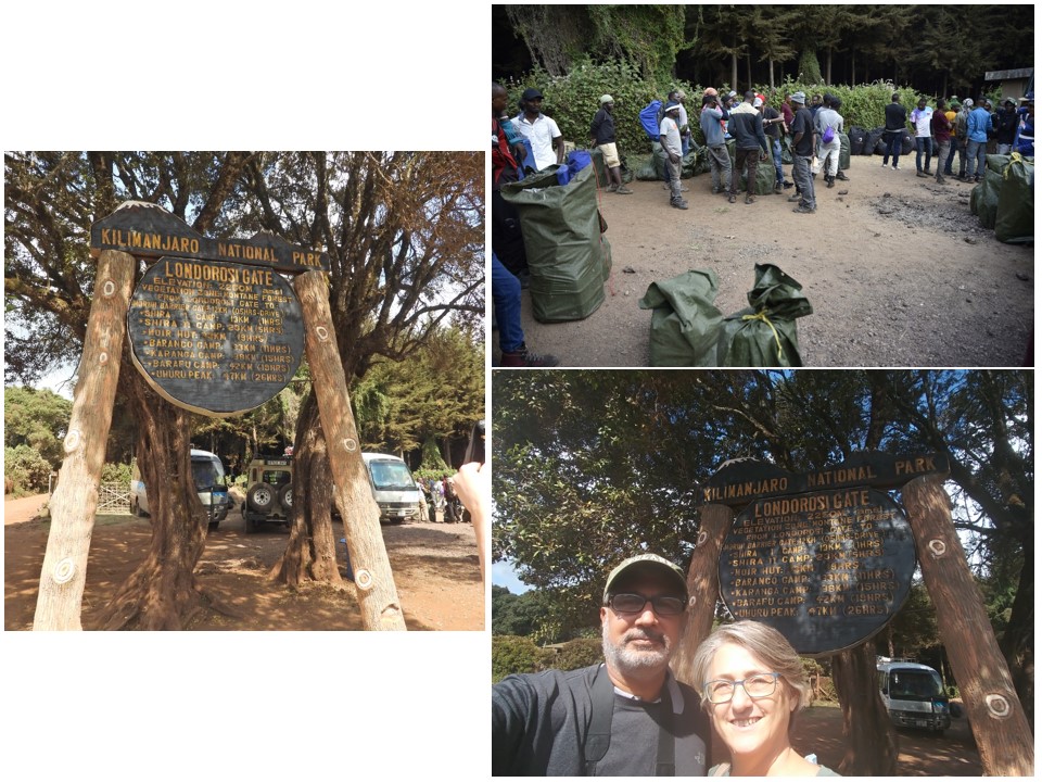 הטיול שלנו לטנזניה 2021 – חלק ראשון by מיכל בן הגיא - Illustrated by מיכל סלע ואבנר אייזיק - Ourboox.com