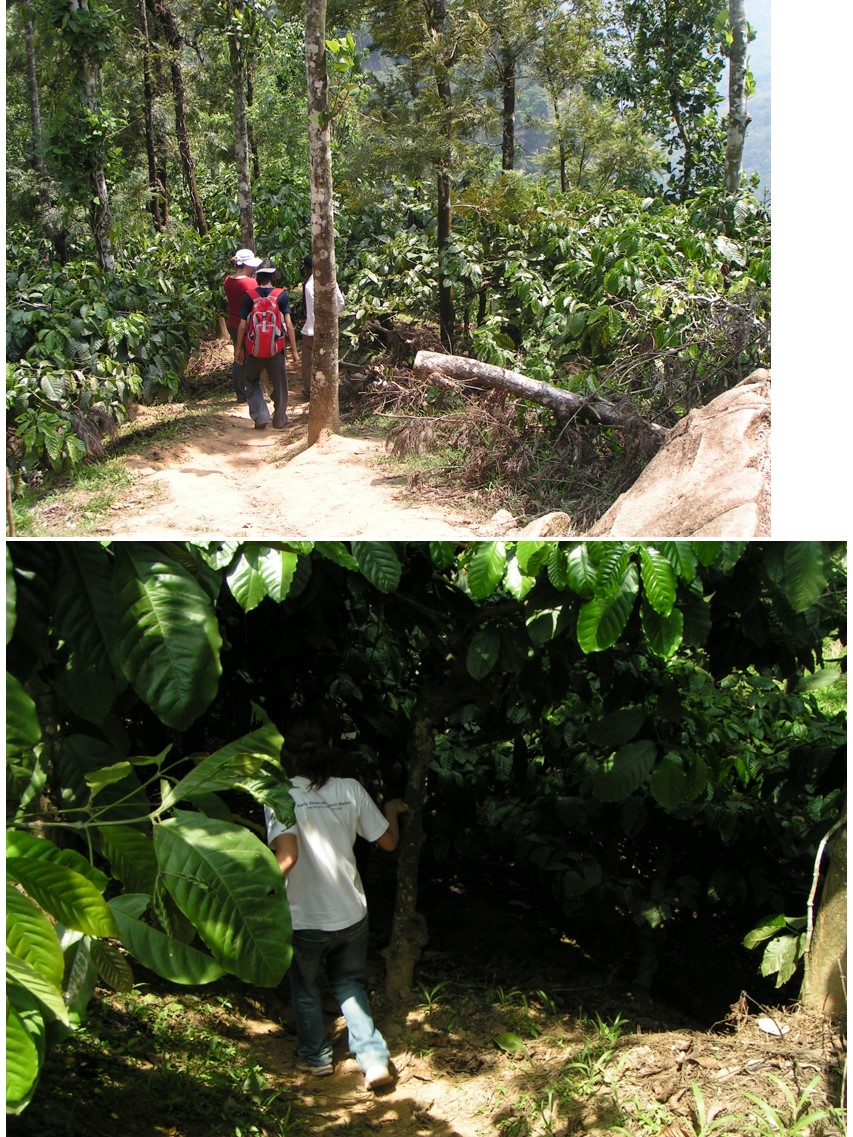 טיול שורשים להודו – חלק שני דרום הודו by מיכל בן הגיא - Illustrated by אבנר אייזיק - Ourboox.com