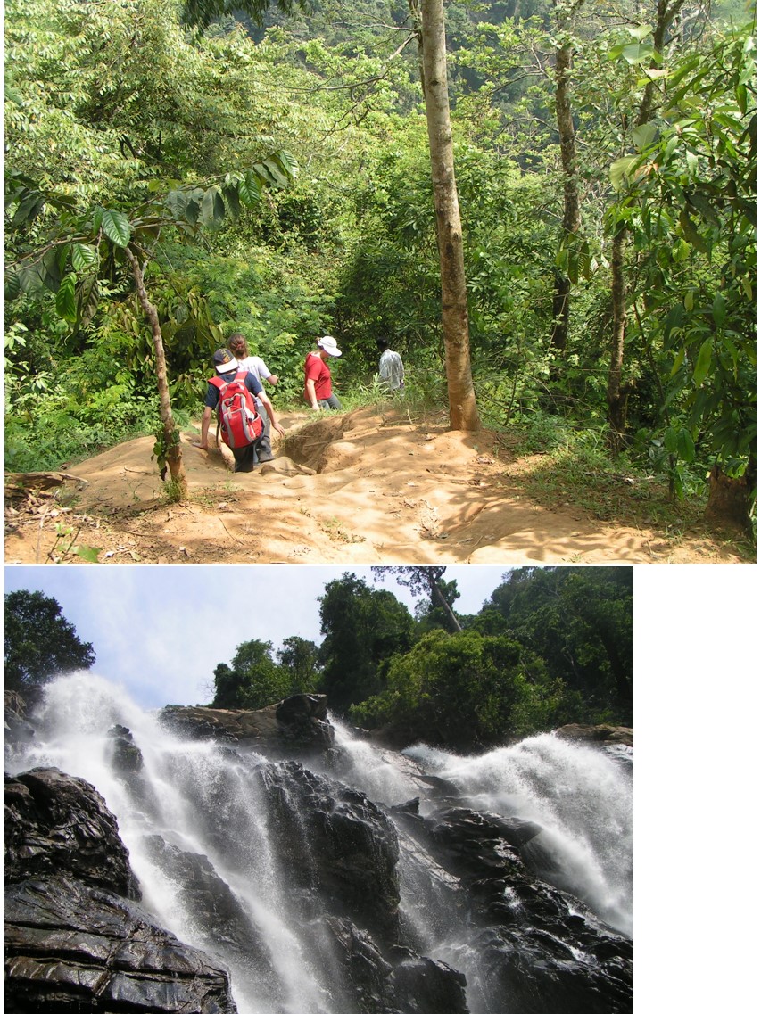 טיול שורשים להודו – חלק שני דרום הודו by מיכל בן הגיא - Illustrated by אבנר אייזיק - Ourboox.com