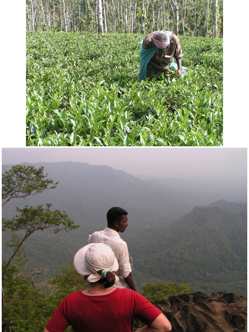 טיול שורשים להודו – חלק שני דרום הודו by מיכל בן הגיא - Illustrated by אבנר אייזיק - Ourboox.com