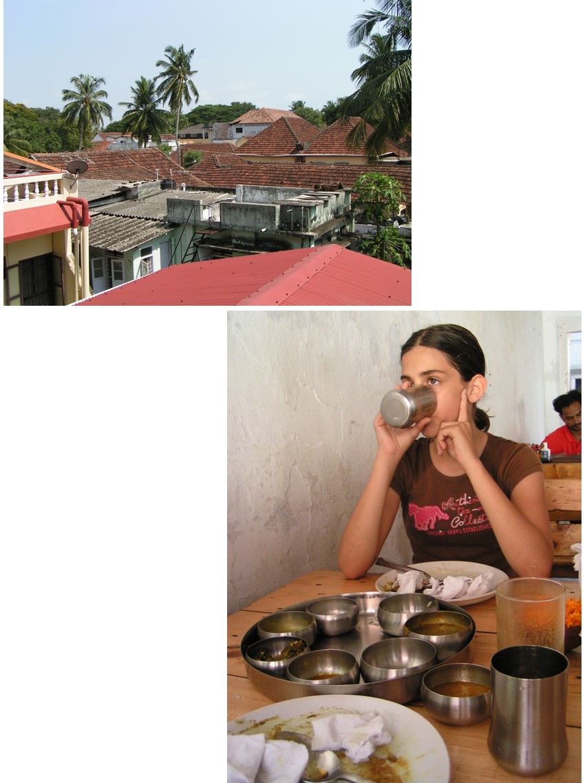 טיול שורשים להודו – חלק שני דרום הודו by מיכל בן הגיא - Illustrated by אבנר אייזיק - Ourboox.com