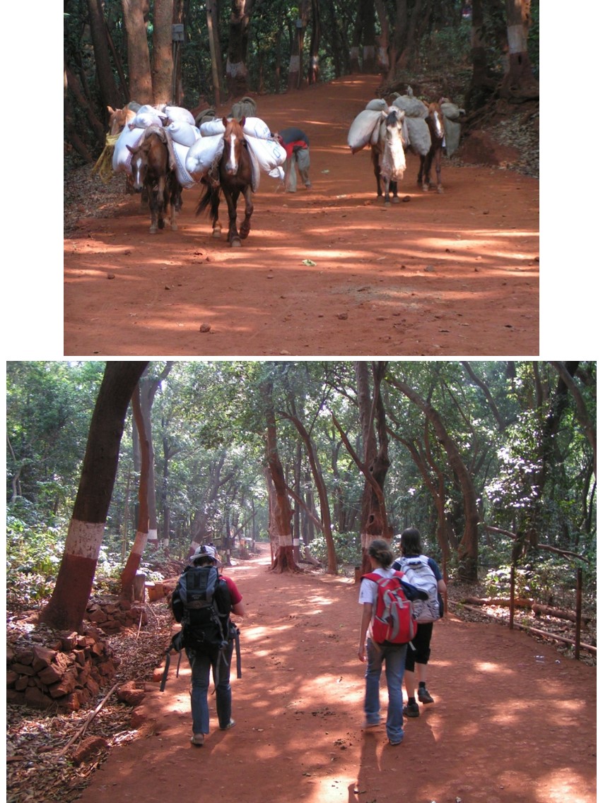 טיול שורשים להודו – חלק ראשון מומביי עד מייסור by מיכל בן הגיא - Illustrated by אבנר אייזיק - Ourboox.com
