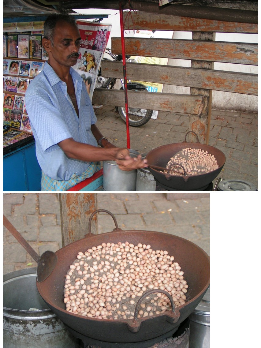 טיול שורשים להודו – חלק שני דרום הודו by מיכל בן הגיא - Illustrated by אבנר אייזיק - Ourboox.com