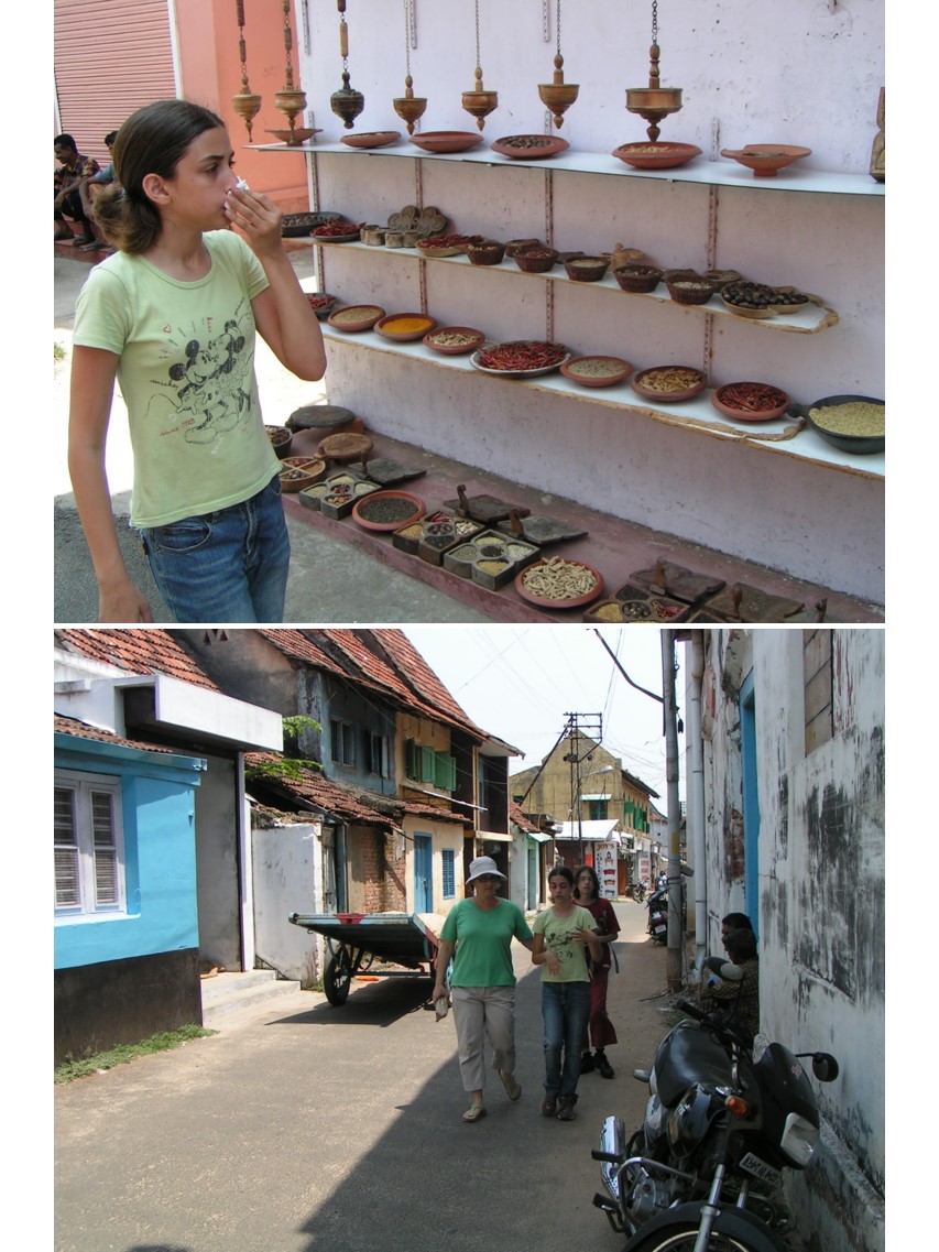 טיול שורשים להודו – חלק שני דרום הודו by מיכל בן הגיא - Illustrated by אבנר אייזיק - Ourboox.com