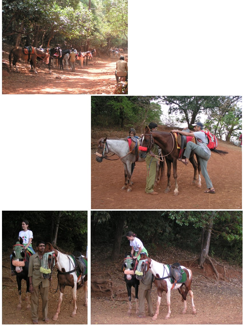 טיול שורשים להודו – חלק ראשון מומביי עד מייסור by מיכל בן הגיא - Illustrated by אבנר אייזיק - Ourboox.com