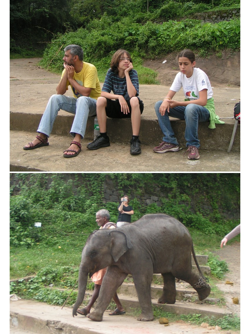 טיול שורשים להודו – חלק שני דרום הודו by מיכל בן הגיא - Illustrated by אבנר אייזיק - Ourboox.com