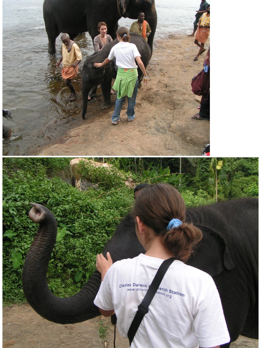 טיול שורשים להודו – חלק שני דרום הודו by מיכל בן הגיא - Illustrated by אבנר אייזיק - Ourboox.com