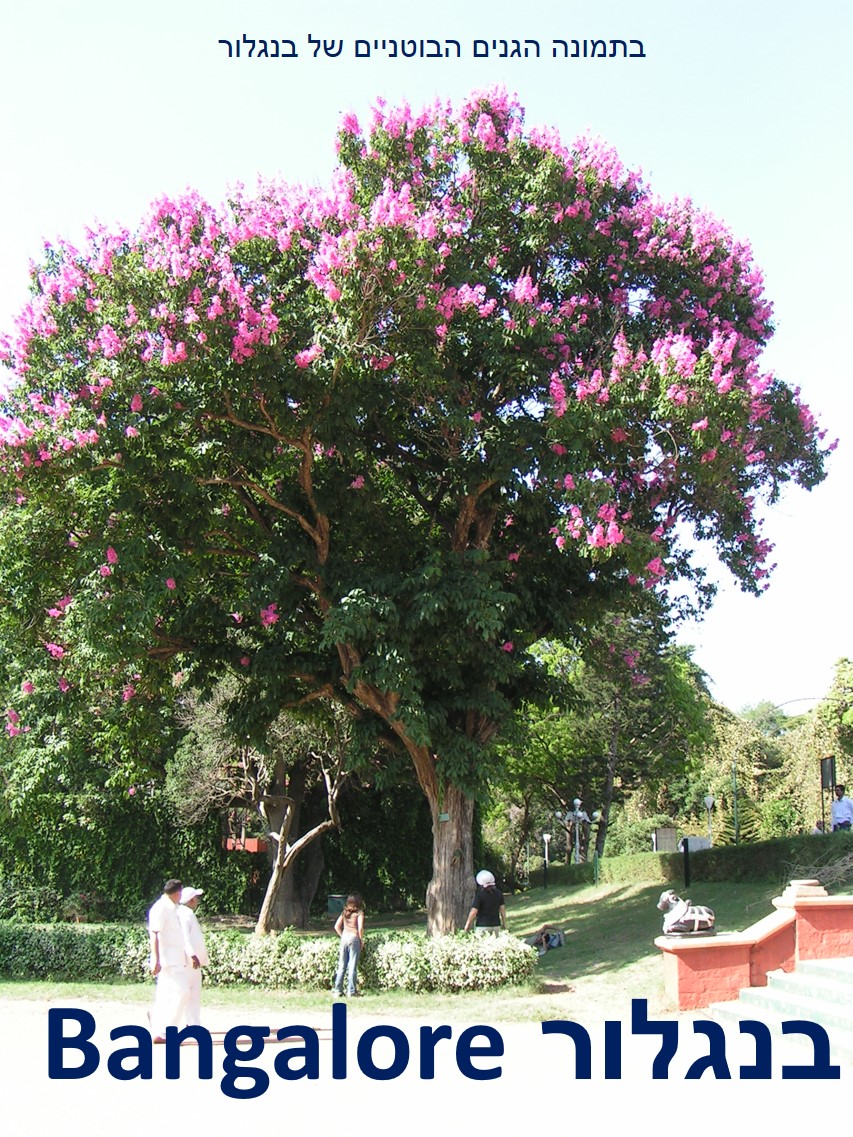 טיול שורשים להודו – חלק ראשון מומביי עד מייסור by מיכל בן הגיא - Illustrated by אבנר אייזיק - Ourboox.com
