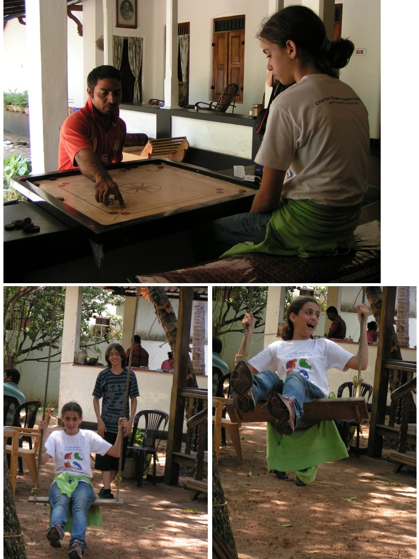 טיול שורשים להודו – חלק שני דרום הודו by מיכל בן הגיא - Illustrated by אבנר אייזיק - Ourboox.com