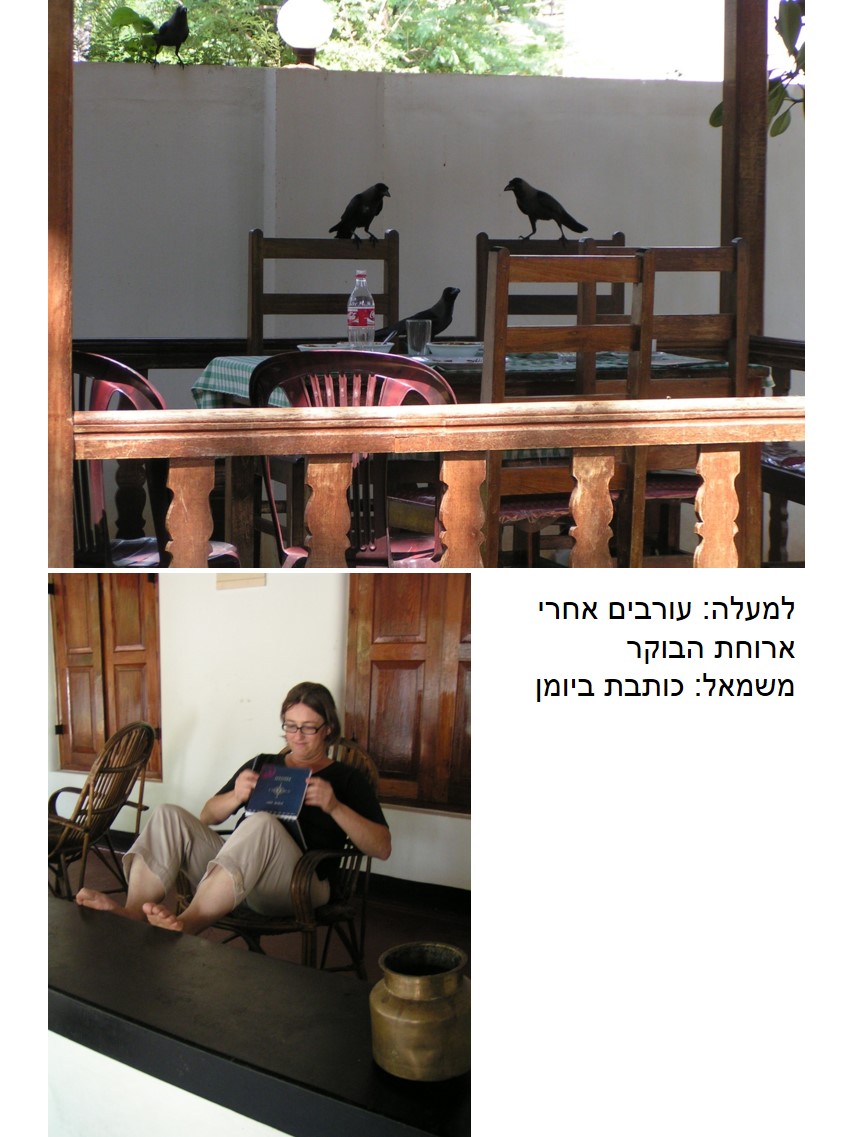 טיול שורשים להודו – חלק שני דרום הודו by מיכל בן הגיא - Illustrated by אבנר אייזיק - Ourboox.com