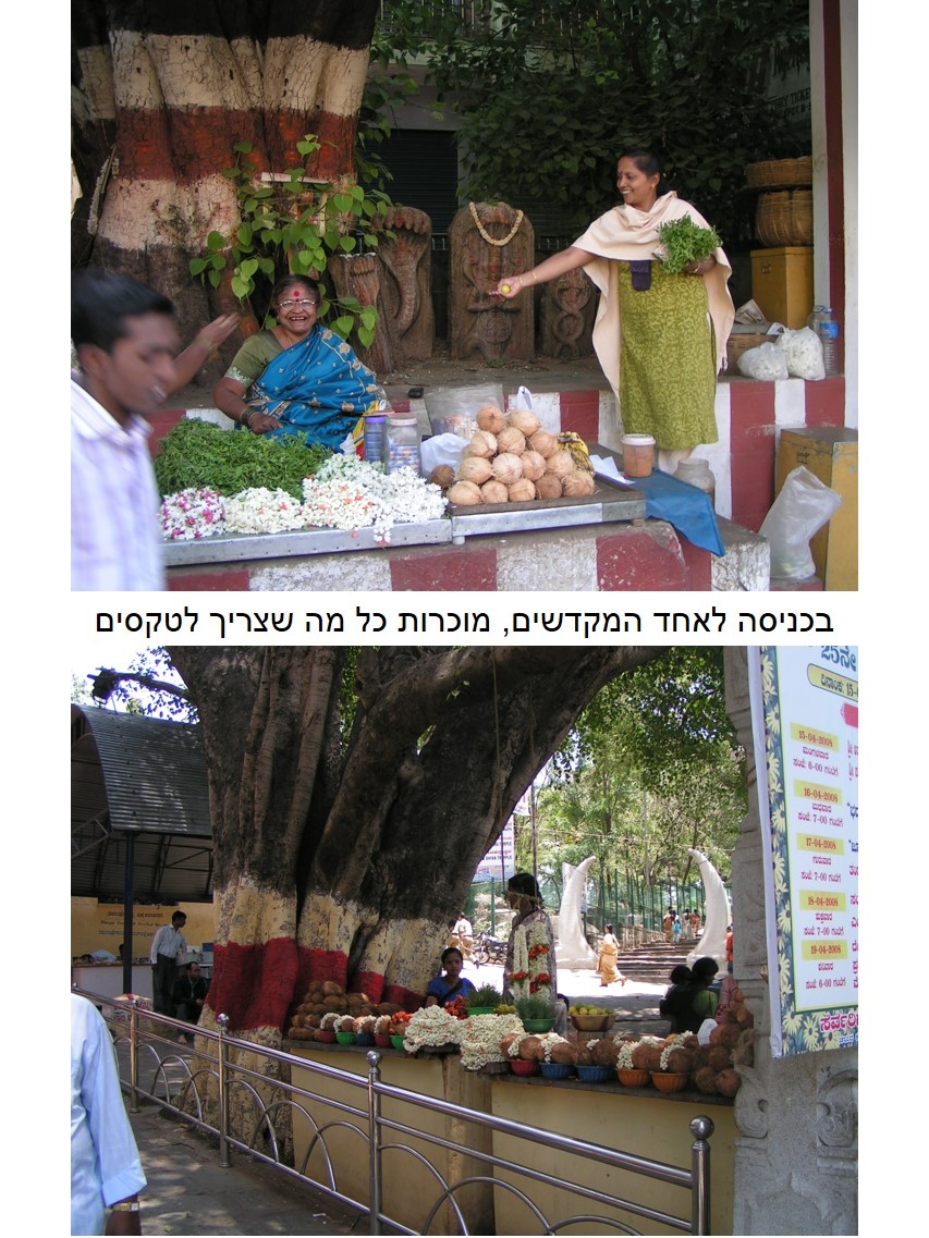 טיול שורשים להודו – חלק ראשון מומביי עד מייסור by מיכל בן הגיא - Illustrated by אבנר אייזיק - Ourboox.com