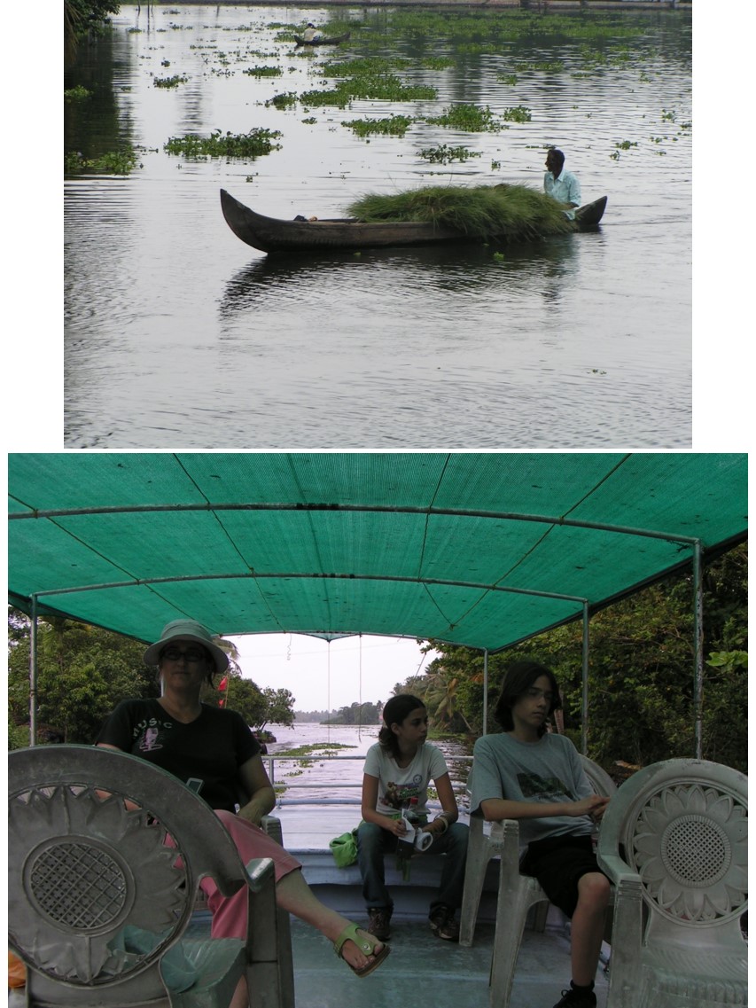 טיול שורשים להודו – חלק שני דרום הודו by מיכל בן הגיא - Illustrated by אבנר אייזיק - Ourboox.com